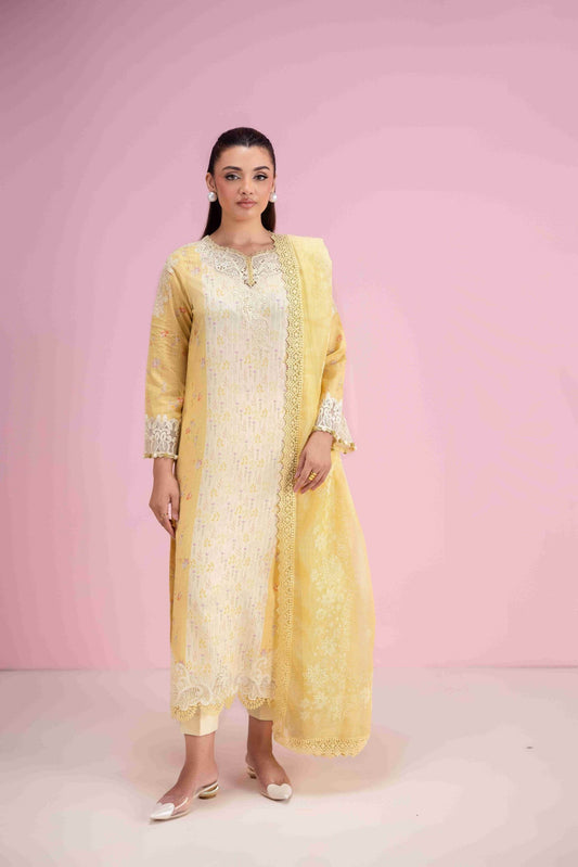 Aabyaan Eid Pret'25 Embroidered Stitched 3pcs - Jotey