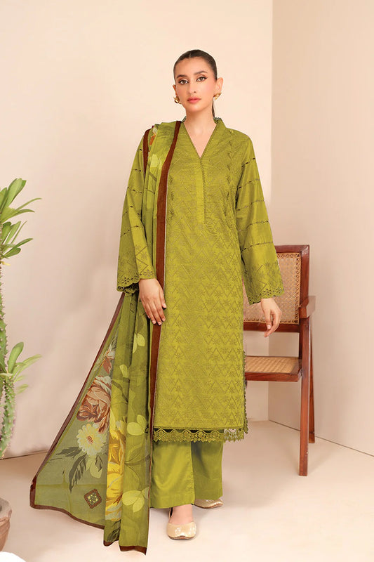 Rabail by Johra Chikankari Lawn Unstitched 3Pcs