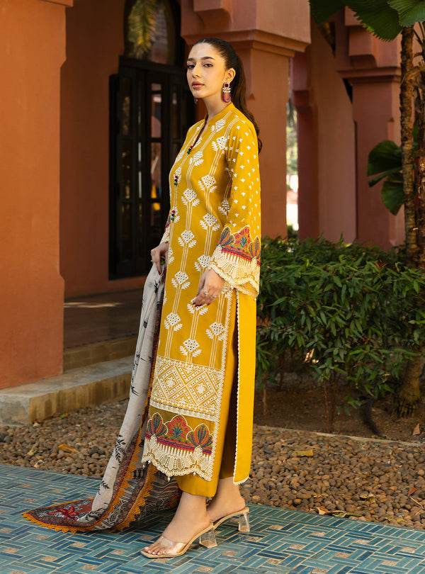 Zainab Chottani Chikankari'25 Unstitched Lawn 3pcs - Jotey