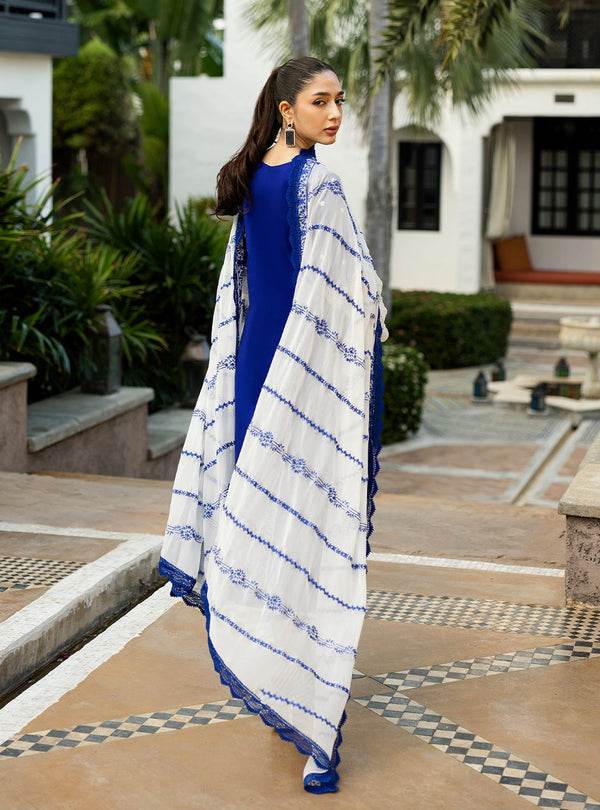 Zainab Chottani Chikankari'25 Unstitched Lawn 3pcs - Jotey