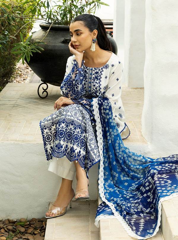 Zainab Chottani Chikankari'25 Unstitched Lawn 3pcs - Jotey