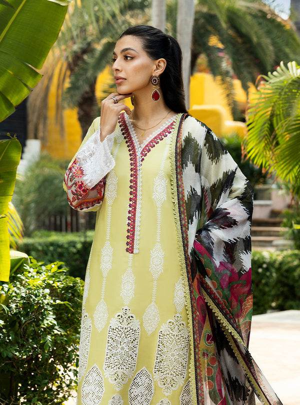 Zainab Chottani Chikankari'25 Unstitched Lawn 3pcs - Jotey