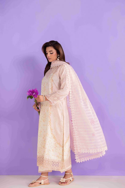 Aabyaan Eid Pret'25 Embroidered Stitched 3pcs - Jotey