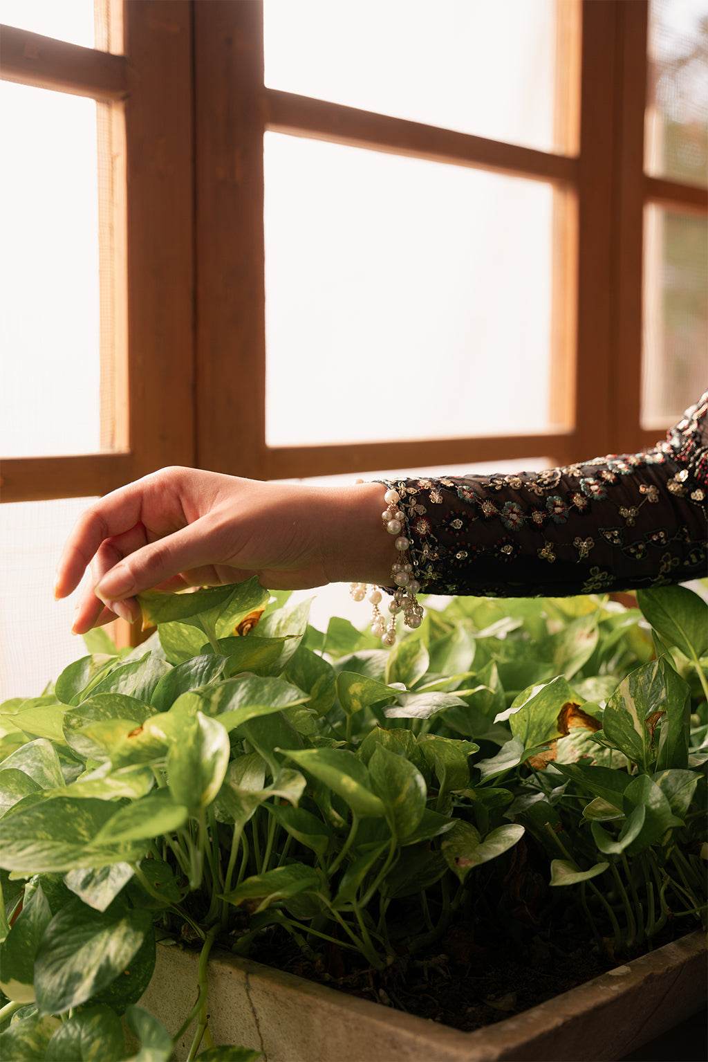 Solene Wedding Formals Unstitched 3pcs - Jotey