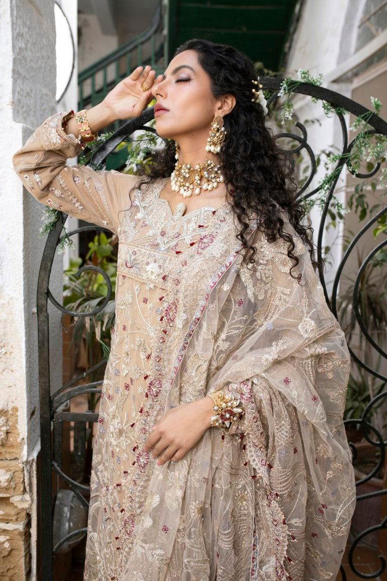 Meghna Semi Stitched Embroidered Luxury Collection - Jotey