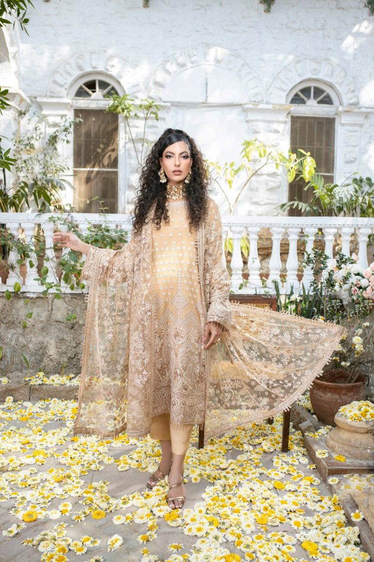 Meghna Semi Stitched Embroidered Luxury Collection - Jotey