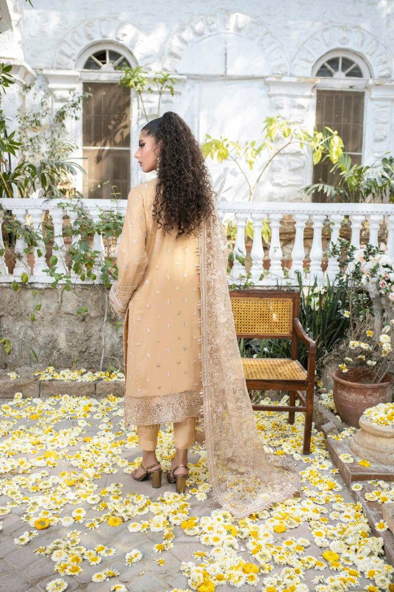 Meghna Semi Stitched Embroidered Luxury Collection - Jotey