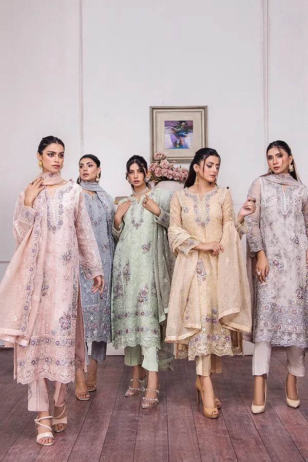 ZA Clothes MUZAYYAN Embroidered Organza Ready to wear 3pcs - Jotey