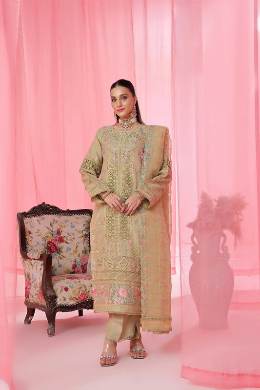 Noori By Guzel Embroidered Organza Stitched 3pcs